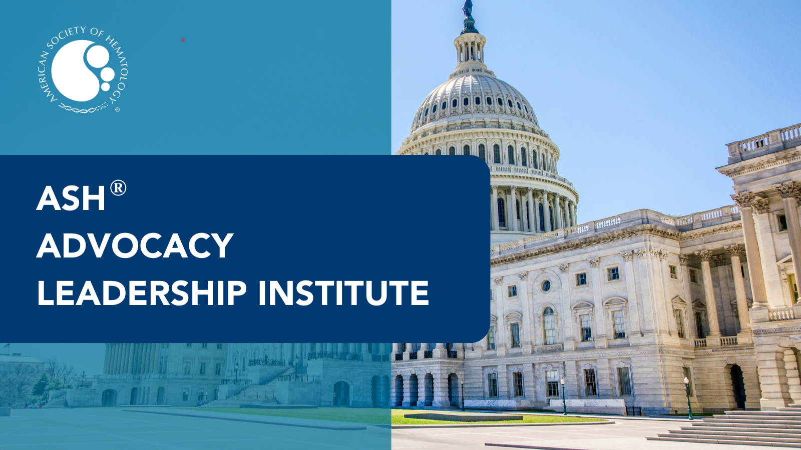 ALI decorative banner