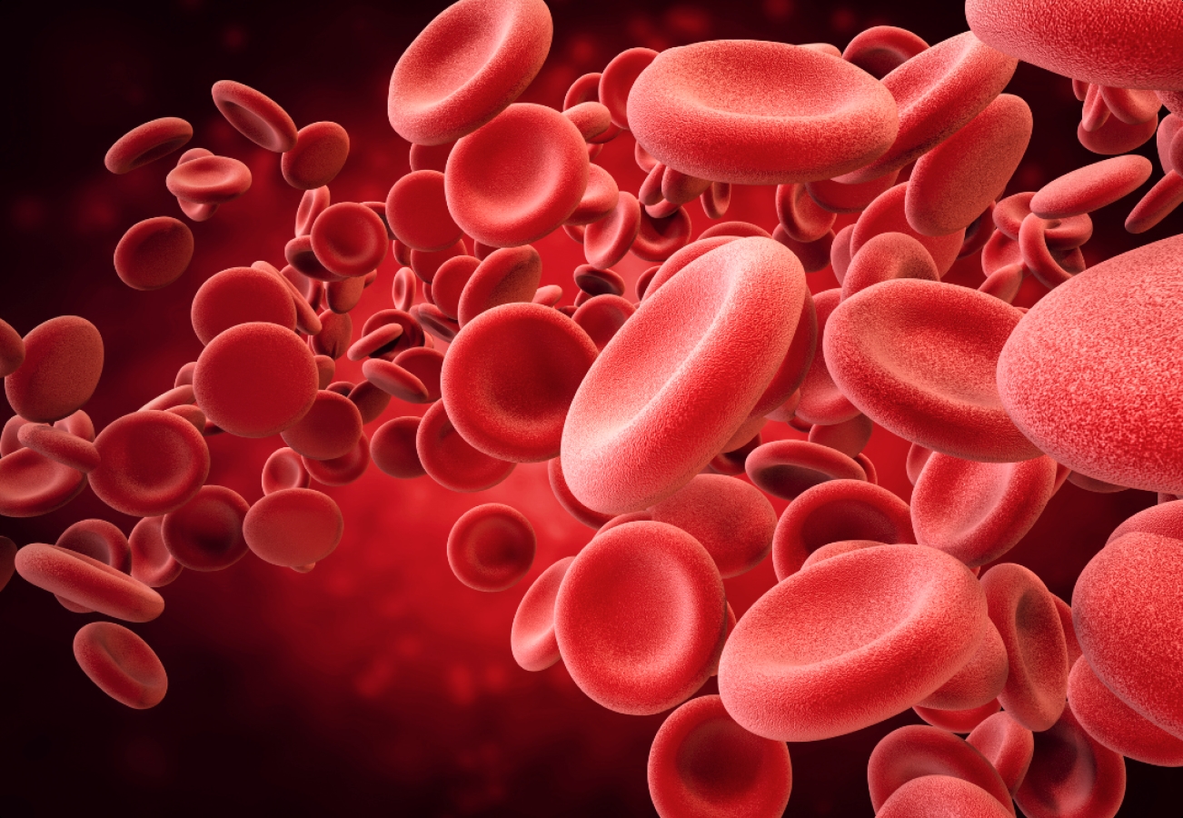 graphic of a group of red blood cells